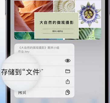 南华apple维修中心分享iPhone文件应用中存储和找到下载文件