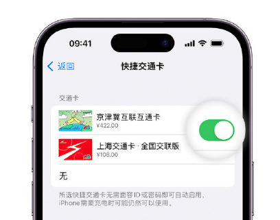 南华apple维修点分享iPhone上更换Apple Pay快捷交通卡手绘卡面 