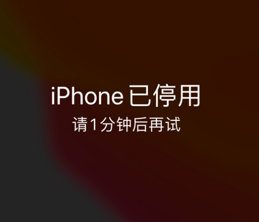 南华苹果手机维修分享:iPhone 显示“不可用”或“已停用”怎么办？还能保留数据吗？ 