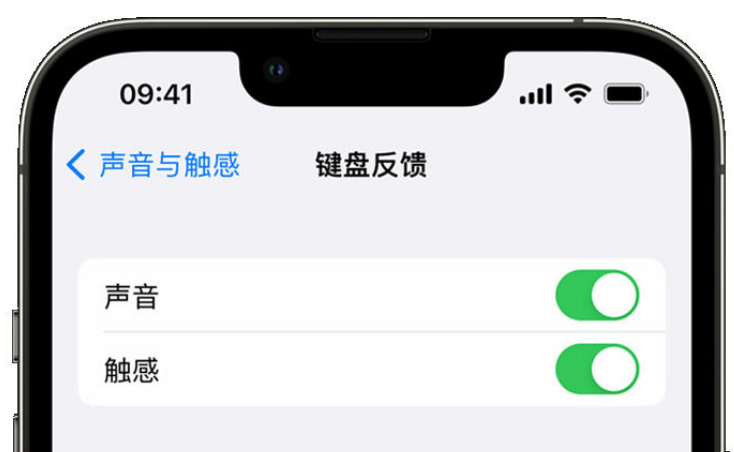 南华苹果手机维修分享iPhone 14触感键盘使用方法 