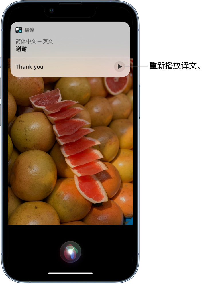 南华苹果14维修分享 iPhone 14 机型中使用 Siri：了解 Siri 能帮你做什么 