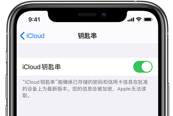 南华苹果手机维修分享在 iPhone 上开启 iCloud 钥匙串之后会储存哪些信息 