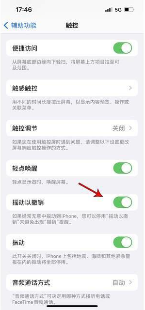 南华苹果手机维修分享iPhone手机如何设置摇一摇删除文字 